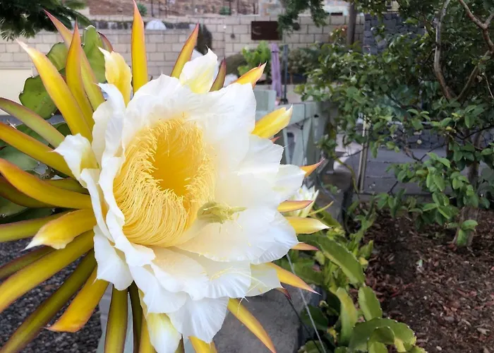 Eco Caves * 拉拉古纳